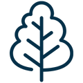 Outline of a tree on a white background